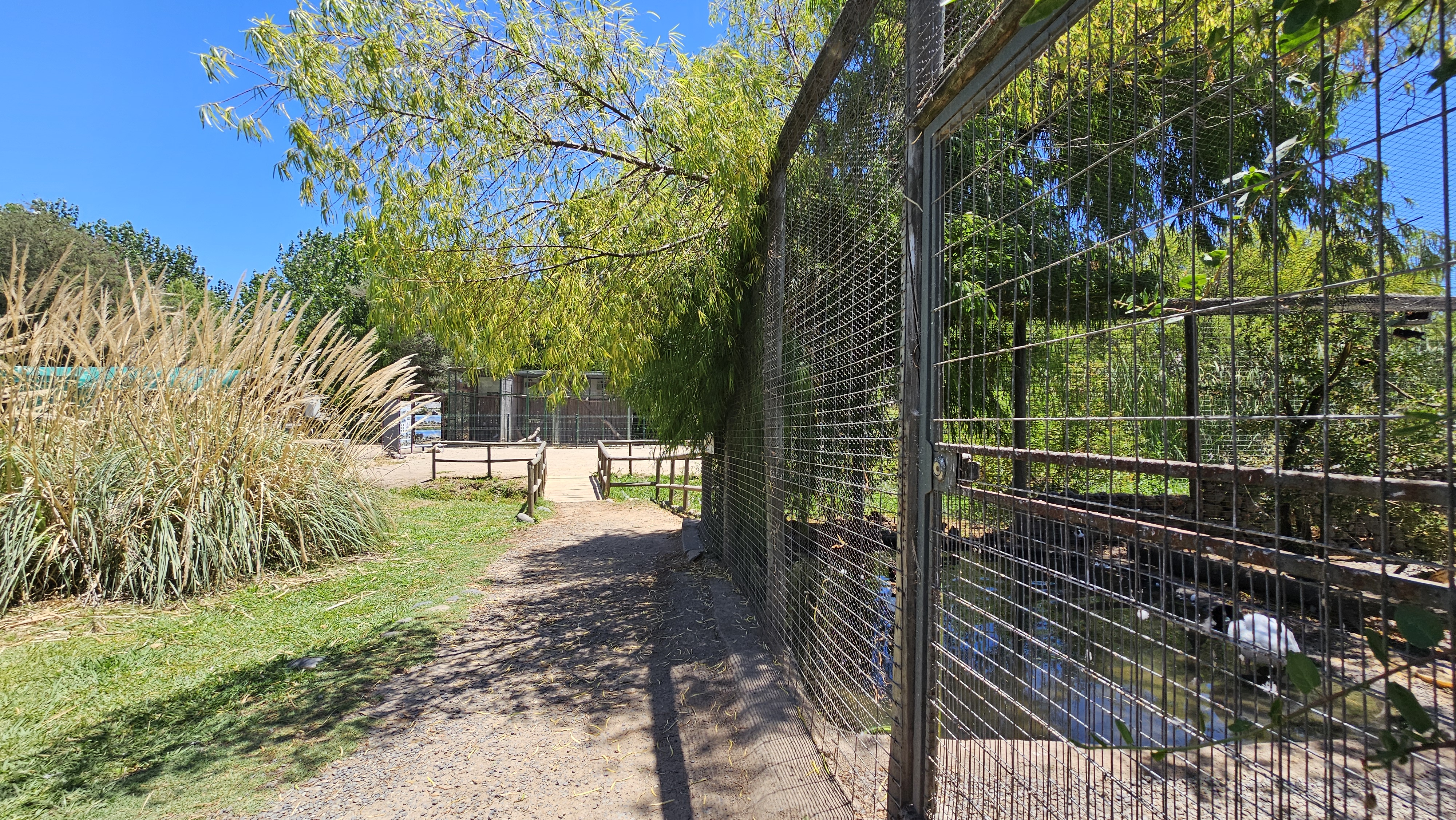 Fotografía del sendero para llegar a la fauna del parque